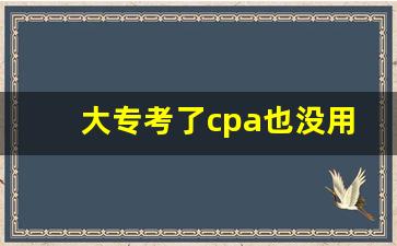 大专考了cpa也没用