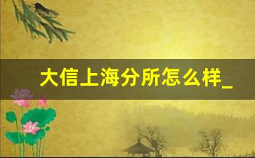 大信上海分所怎么样_大信事务所待遇真好