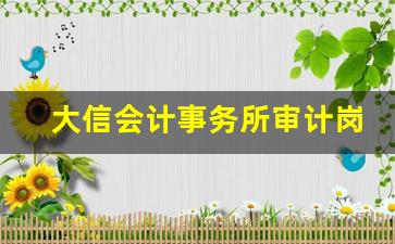 大信会计事务所审计岗位级别_大信审计员工资