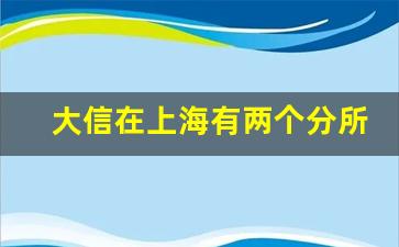 大信在上海有两个分所_大信上海分所怎么样