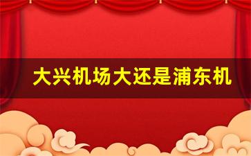 大兴机场大还是浦东机场大_国家不允许苏州建机场