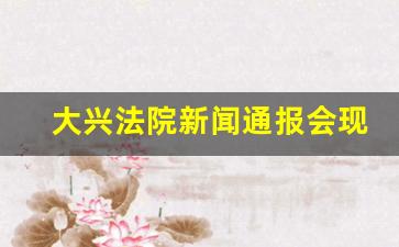 大兴法院新闻通报会现场直播_大兴法院执行局电话