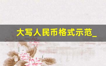 大写人民币格式示范_30670.09大写金额