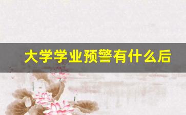 大学学业预警有什么后果_重修过了学业预警会取消吗