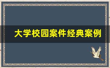 大学校园案件经典案例长