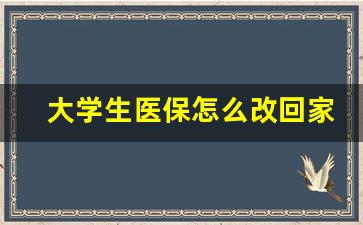 大学生医保怎么改回家里