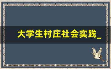 大学生村庄社会实践_大学生乡村社会实践表现