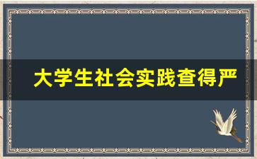 大学生社会实践查得严吗