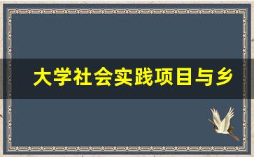 大学社会实践项目与乡村有关_大学生村庄社会实践