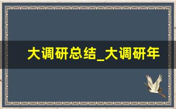 大调研总结_大调研年