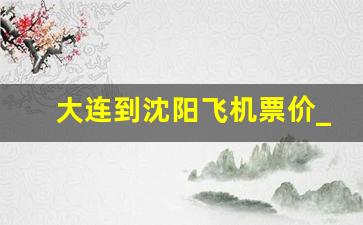 大连到沈阳飞机票价_大水泊至沈阳机票查询多少钱