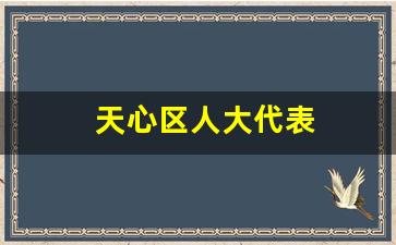 天心区人大代表