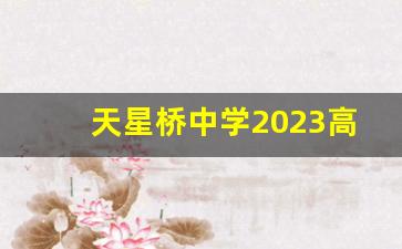 天星桥中学2023高考成绩