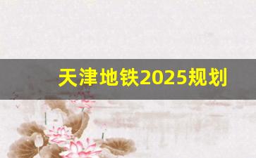 天津地铁2025规划_2030天津地铁规划图