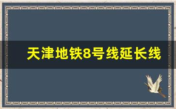 天津地铁8号线延长线路图_天津8号线延长线竣工时间表