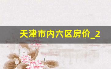 天津市内六区房价_2024明年房价暴涨原因是什么