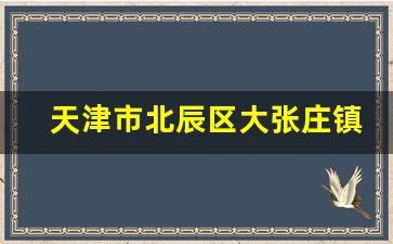 天津市北辰区大张庄镇_天津市北辰区繁华吗