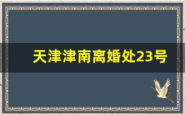 天津津南离婚处23号放假吗