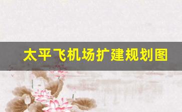 太平飞机场扩建规划图_哈尔滨机场T3何时开始修建