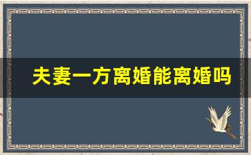 夫妻一方离婚能离婚吗_离半边婚的条件