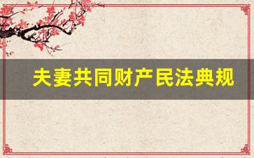 夫妻共同财产民法典规定