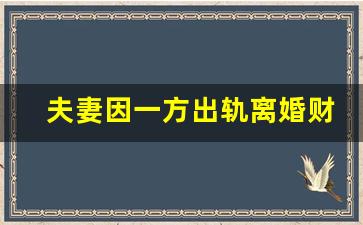 夫妻因一方出轨离婚财产分割案例