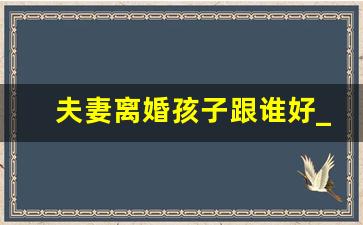 夫妻离婚孩子跟谁好_抚养孩子的法律规定