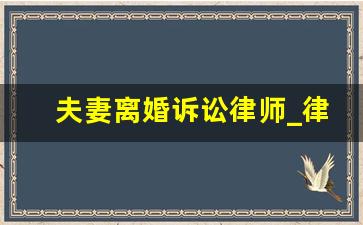 夫妻离婚诉讼律师_律师事务所法律咨询