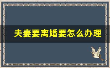 夫妻要离婚要怎么办理