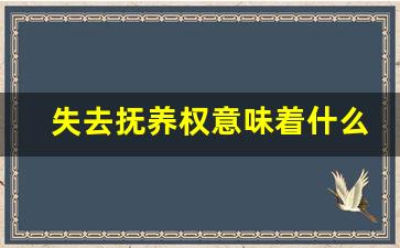 失去抚养权意味着什么_抚养费几年不给就作废