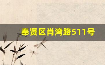 奉贤区肖湾路511号属于什么街道_闵行区鹤庆路属于哪个街道