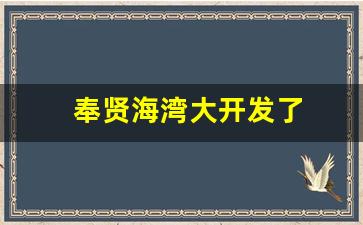 奉贤海湾大开发了