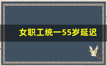 女职工统一55岁延迟退休_2024年退休新办法