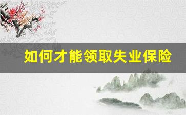 如何才能领取失业保险金_超过60天还能办理失业金吗