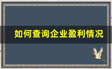 如何查询企业盈利情况