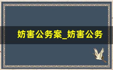 妨害公务案_妨害公务案案例点评