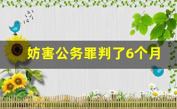 妨害公务罪判了6个月_妨害公务罪判了10个月