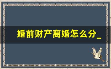 婚前财产离婚怎么分_婚前财产离婚可以分吗