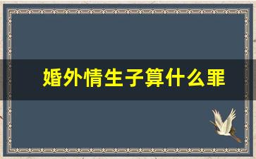 婚外情生子算什么罪