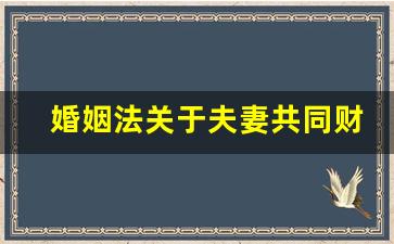 婚姻法关于夫妻共同财产的规定_2023年新离婚法