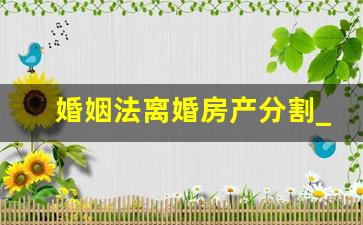 婚姻法离婚房产分割_离婚析产最新规定