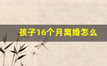 孩子16个月离婚怎么判决_离婚宝宝不满两岁归谁