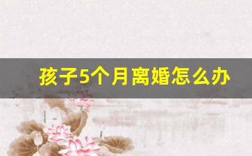 孩子5个月离婚怎么办_小孩5个月离婚判给谁