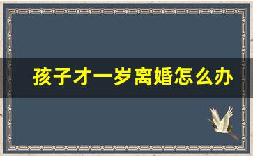 孩子才一岁离婚怎么办_小孩多少岁之前不能离婚