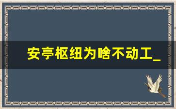 安亭枢纽为啥不动工_安亭2025规划