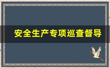 安全生产专项巡查督导_安全生产督导情况汇报