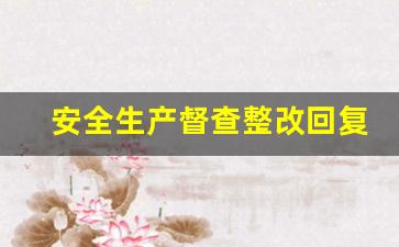 安全生产督查整改回复_安全生产责令整改通知书