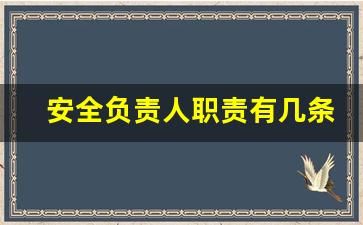 安全负责人职责有几条_安全生产管理责任人职责