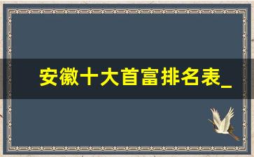 安徽十大首富排名表_合肥十大富豪排行榜