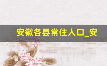 安徽各县常住人口_安徽各地级市人口排名